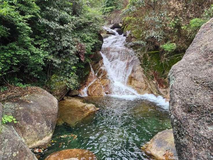 华丽礼帽